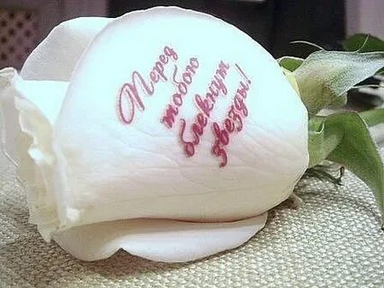 Букет цветов с надписью