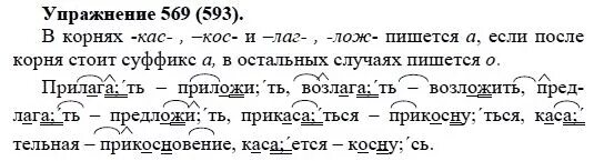 593 упр русский 6 класс ладыженская. Русский язык 5 класс упражнение 593. Русский язык 5 класс упражнения. Упражнение 569 по русскому языку 5 класс. Упражнения 593 по русскому языку.