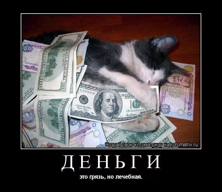 цитаты про деньги смешные. шутки про деньги. демотиваторы про деньги смешные. шутки про деньги. смешные приколы про деньги.