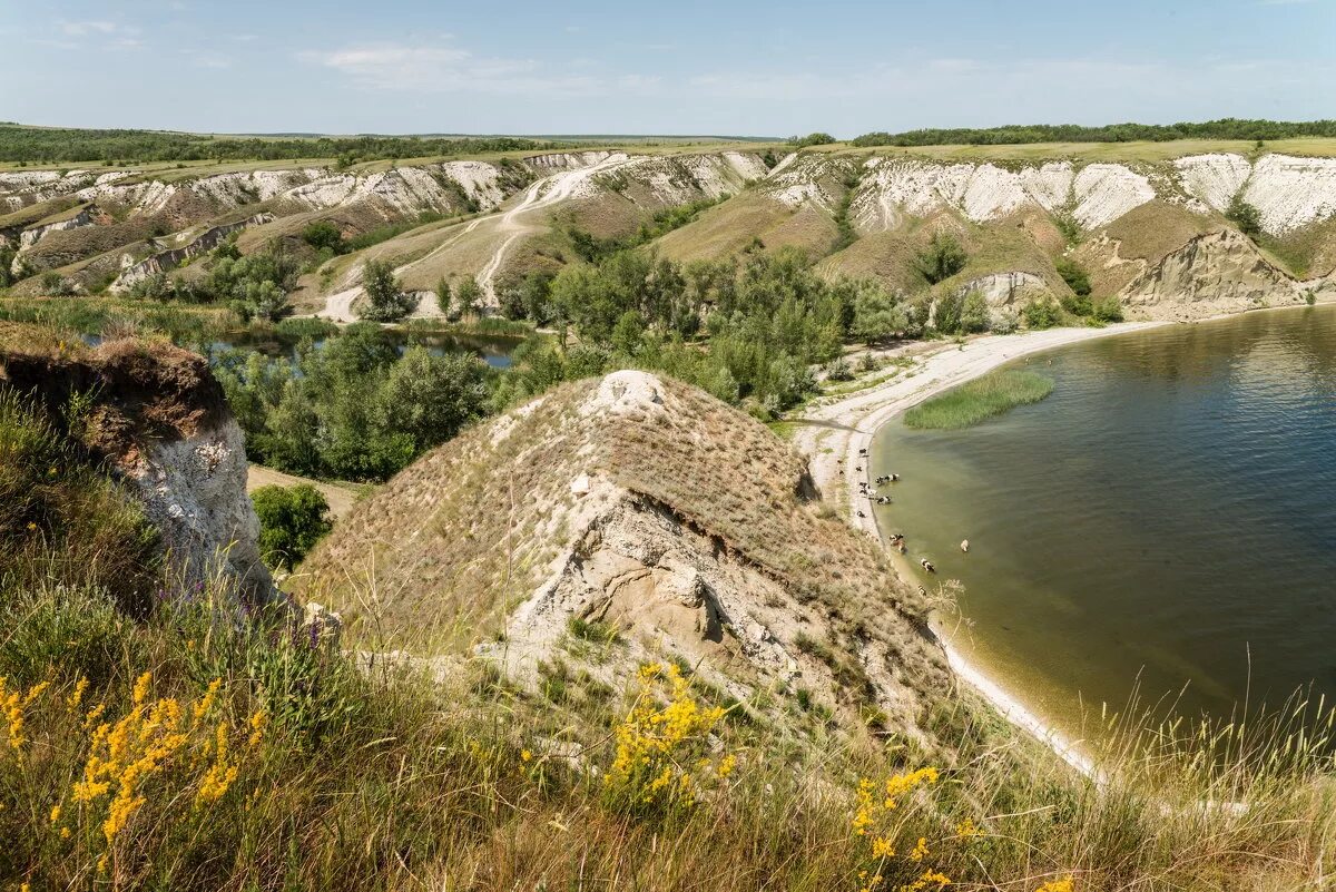 Саратовская область краснодарский край