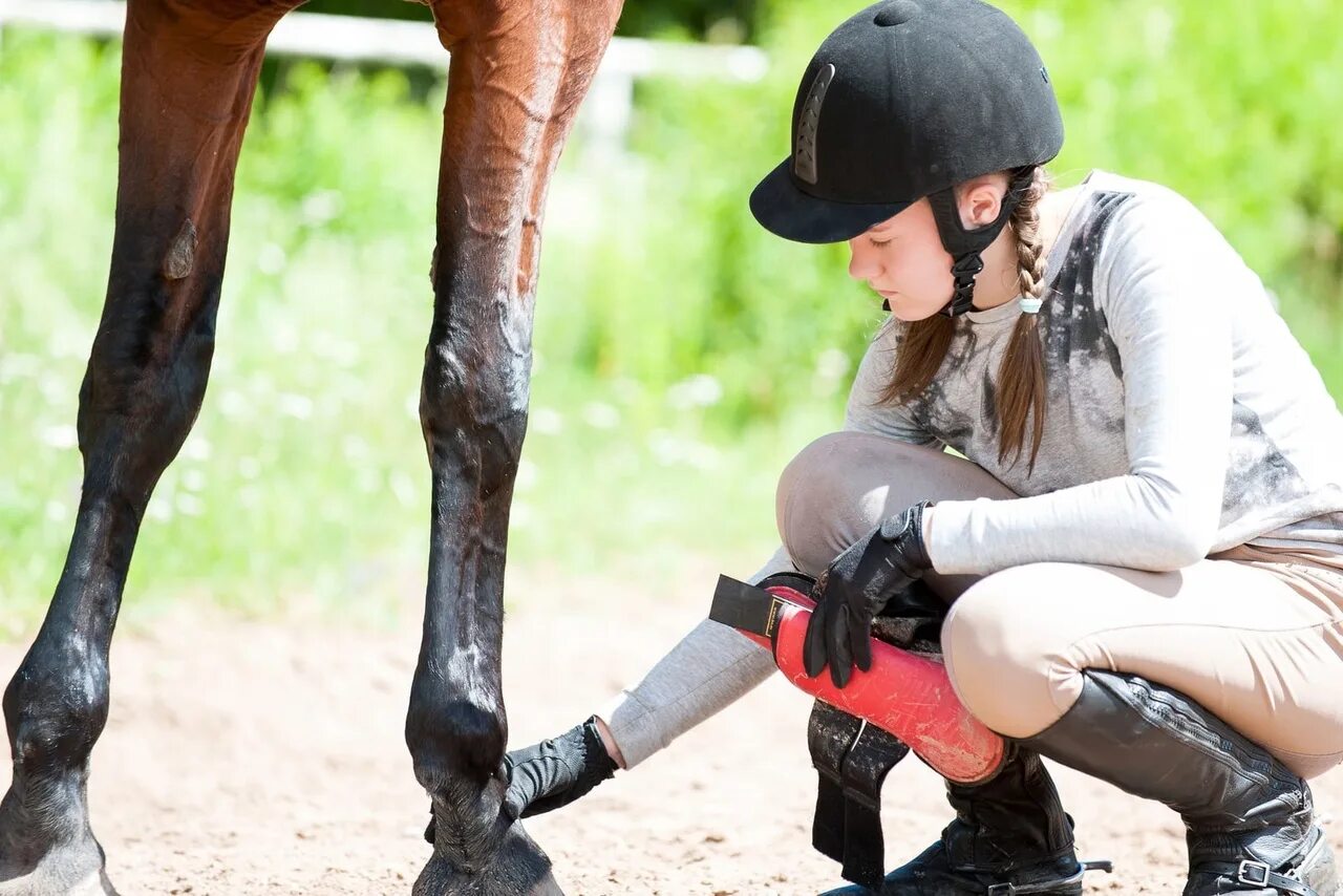 Конский дылда. Огромный конский. Лошади совокупляются. Девушка с лошадками ногами. Конский дылда.