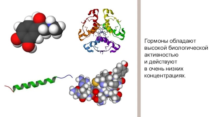 Инсулин глюкагон адреналин. Инсулин глюкагон соматотропин. Гормоны обладают высокой биологической активностью. Гормоны инсулин и адреналин. Высокая биологическая активность