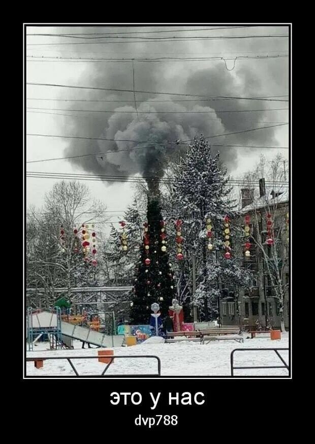 Городская елка ночью. Праздник елочка гори. Вася ложкин елочка гори. Новый год декабрь 2022. Праздник елочка гори.