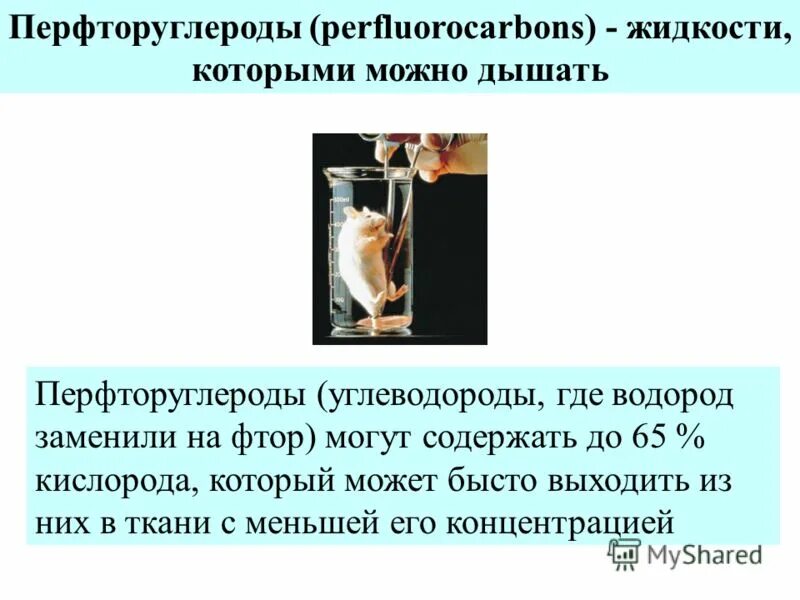диафрагмальное дыхание техника. как можно дышать. как можно дышать. диафрагмальное дыхание техника. как можно дышать.