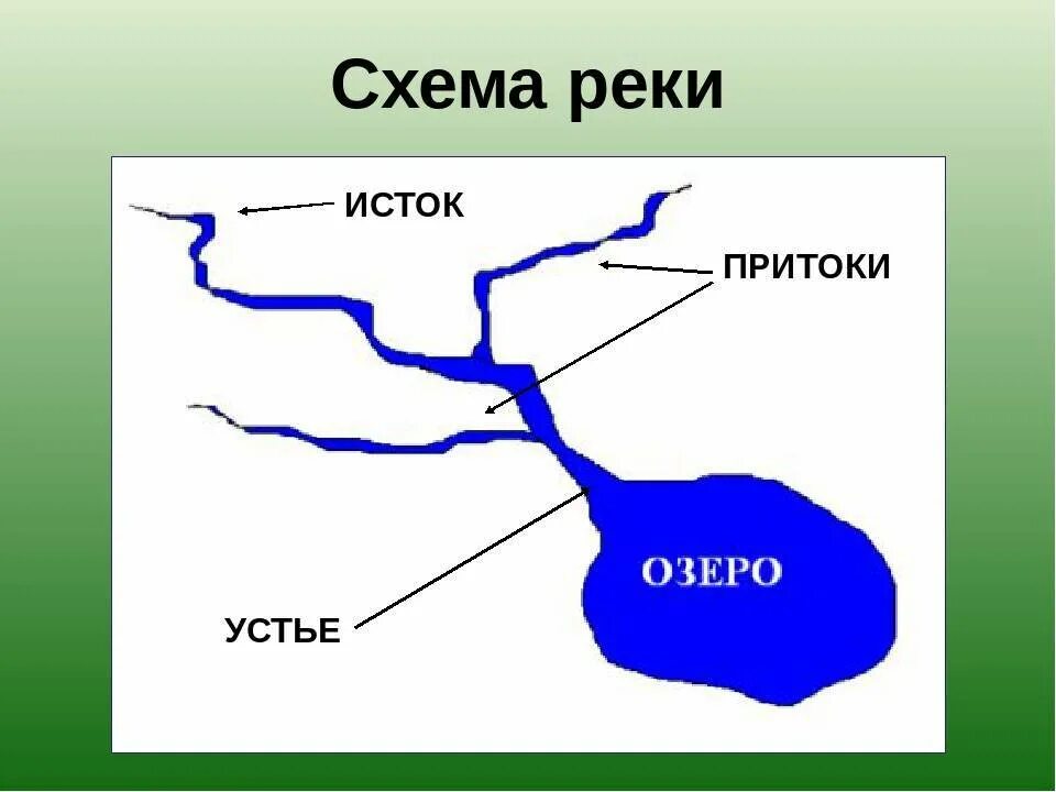 Лена левые и правые притоки. Схема реки Исток приток Устье. Исток Устье приток схема. Устье реки Исток приток окружающий мир. Река Исток приток Устье рисунок.