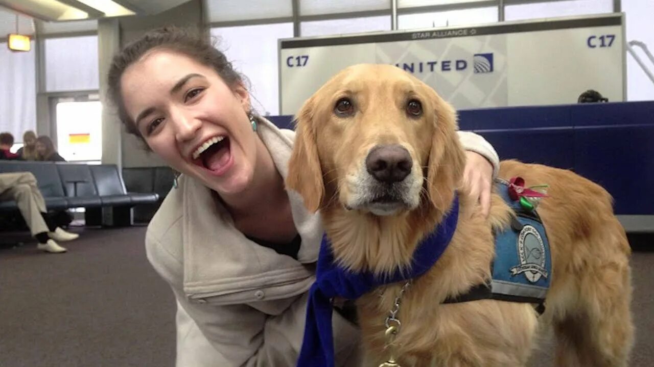 United dogs. United dogs. Woobledogs собаки. Unity dog. Крап футболист с собакой.
