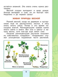 Зеленые страницы виды растений