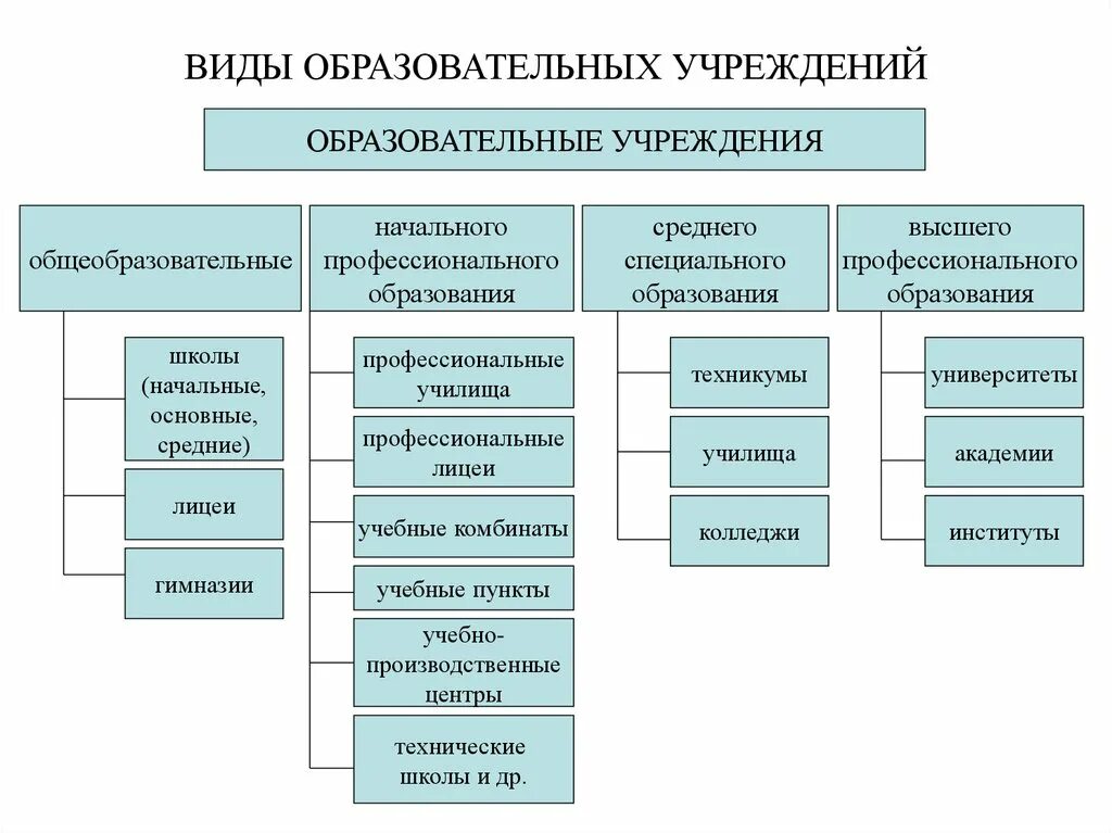 Организации образования различного типа