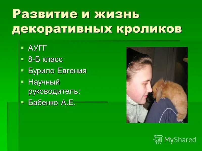 Чтение 2 класс в бурю презентация