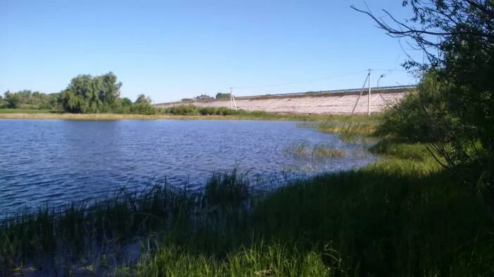 Савино вода. Озеро Яицкое Самара. Озеро Савино Самара. Пруд в Савино. Озеро в Саввино Железнодорожный.