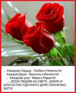 Всем сердцем любовью и душою моей