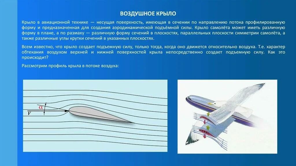 Подъемная сила крыла бернулли. Обтекание крыла самолета воздухом. аэродинамика подъемная сила крыла самолета. аэродинамика летательных аппаратов , подъемная сила. крыло самолета в разрезе аэродинамика.