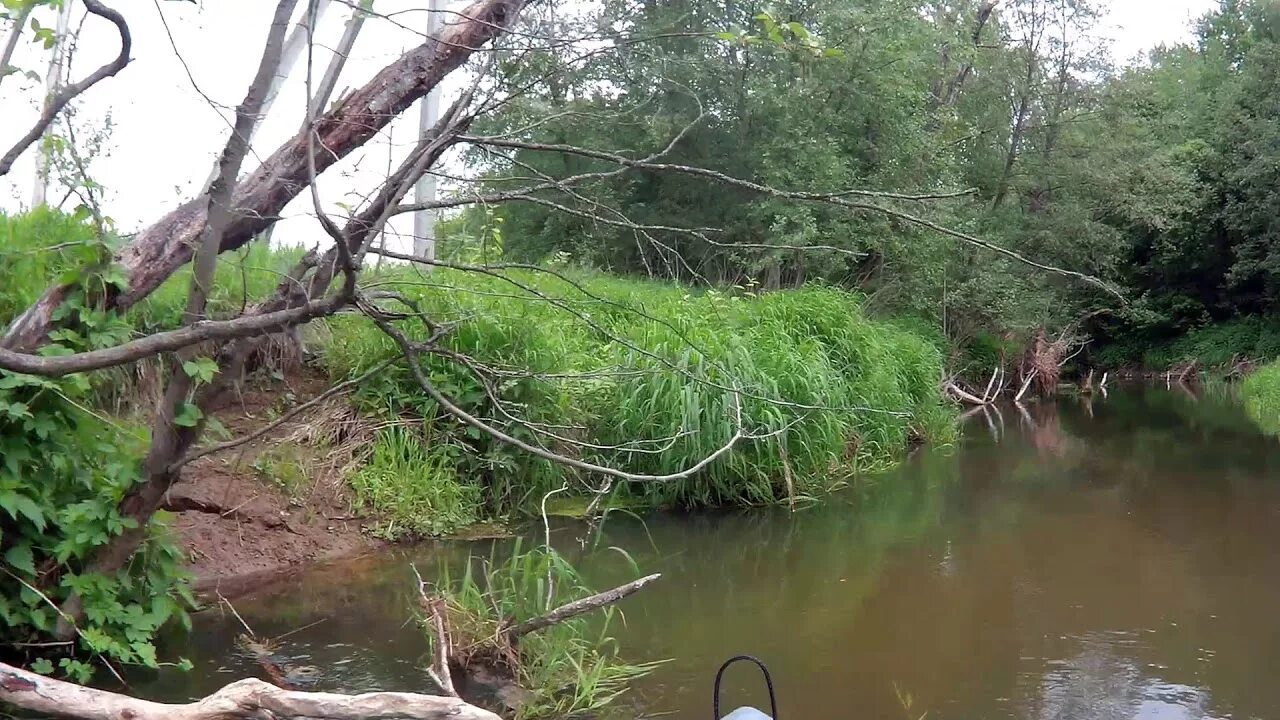 Уровень воды в реке клязьма. Исток реки Клязьма. Река Клязьма костерёво. Река Клязьма Шереметьево. Сплав по Клязьме.