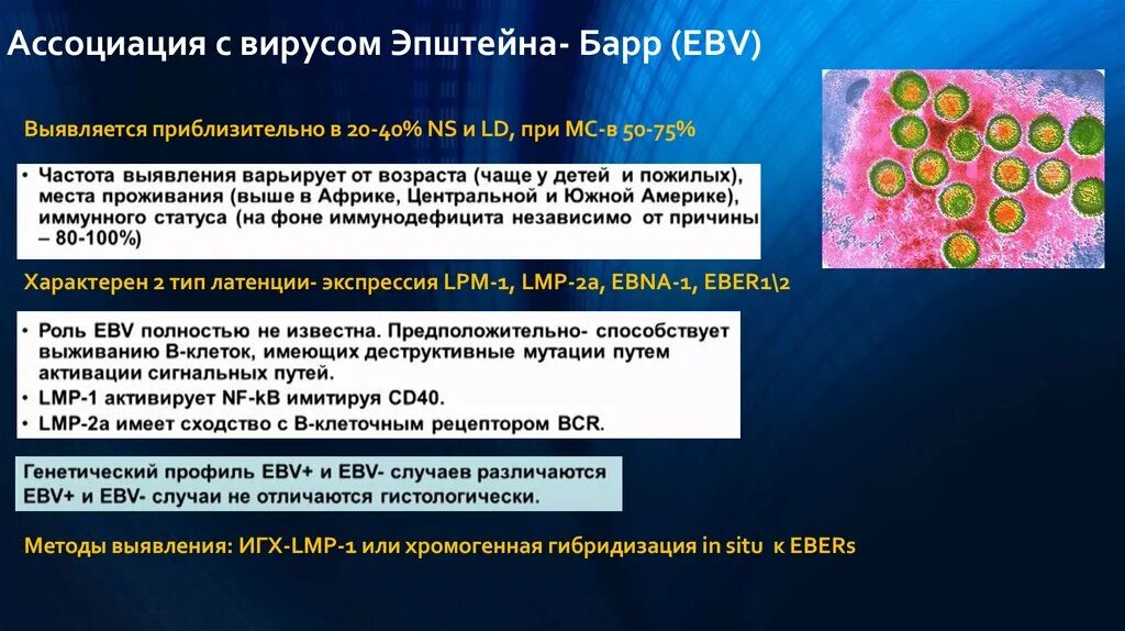 Ядерный антиген вируса эпштейна барр. Вэб вирус Эпштейна Барр. Лимфогранулематоз Эпштейн Барр. Вирус Эпштейна-Барр ЦПД.