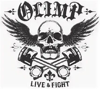 Olimp live fight. Olimp fight. Футболка olimp. Olimp live fight одежда. Olimp fight.