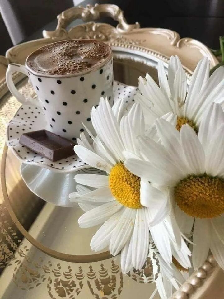 Удивительного утра картинки. Чашка кофе и ромашки. Ромашки и кофе. Чашечка кофе для настроения. Утренняя кофе и ромашки.