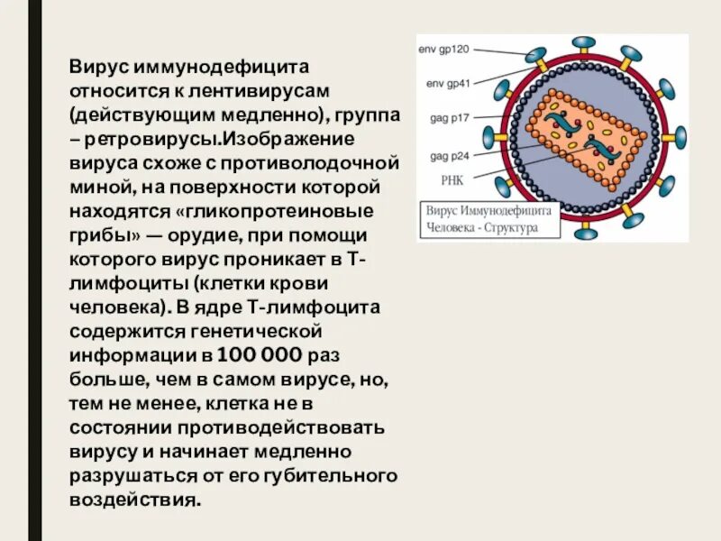 Ретровирусы. Про вирусы и ретровирусы. Ретровирусы заболевания.