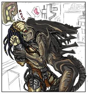 906363 - Aliens_vs_Predator Predalien Predator Xenomorph Yautja alien Most ...