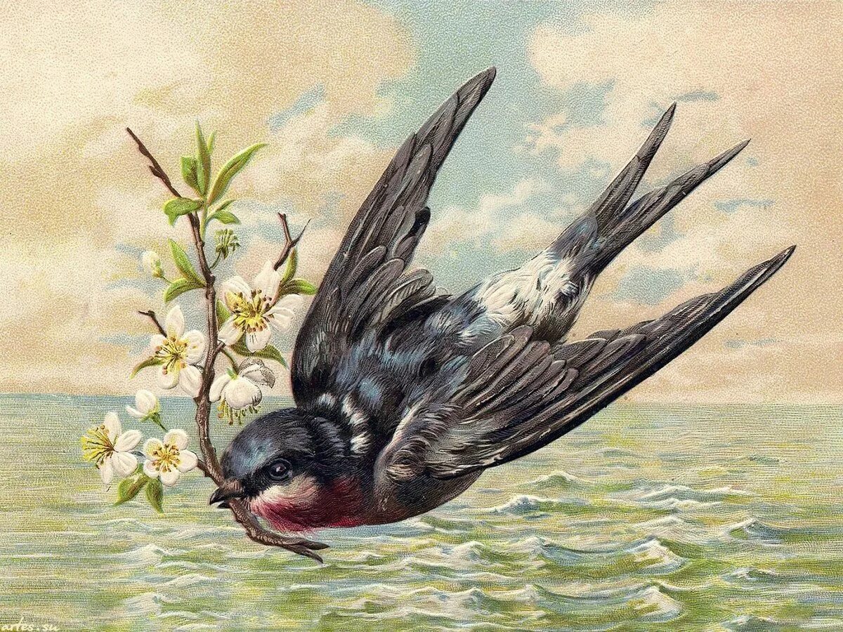 Изящную птицу ласточку называют символом весны. Ласточка Рубцова. Весенние птицы живопись. Ласточки живопись.