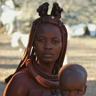 Үйсіз адамды сору