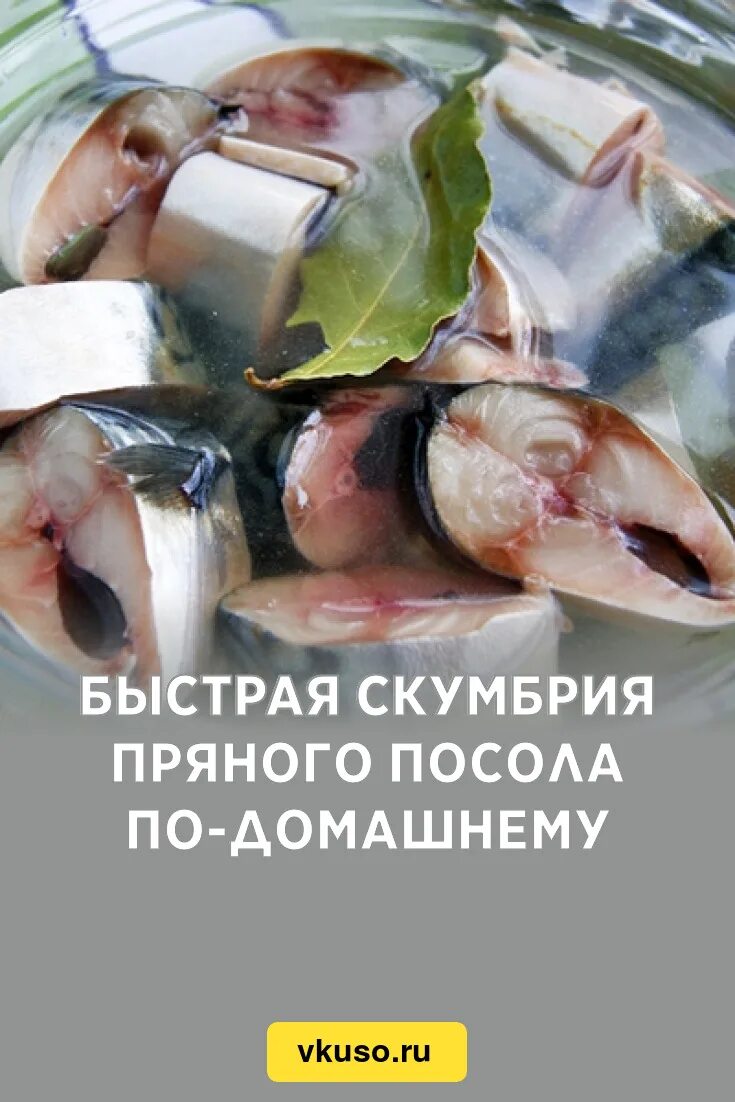 Как сделать пряный посол. Скумбрия быстрого посола. Скумбрия пряного посола. Пряная скумбрия. Скумбрия пряного посола в домашних.