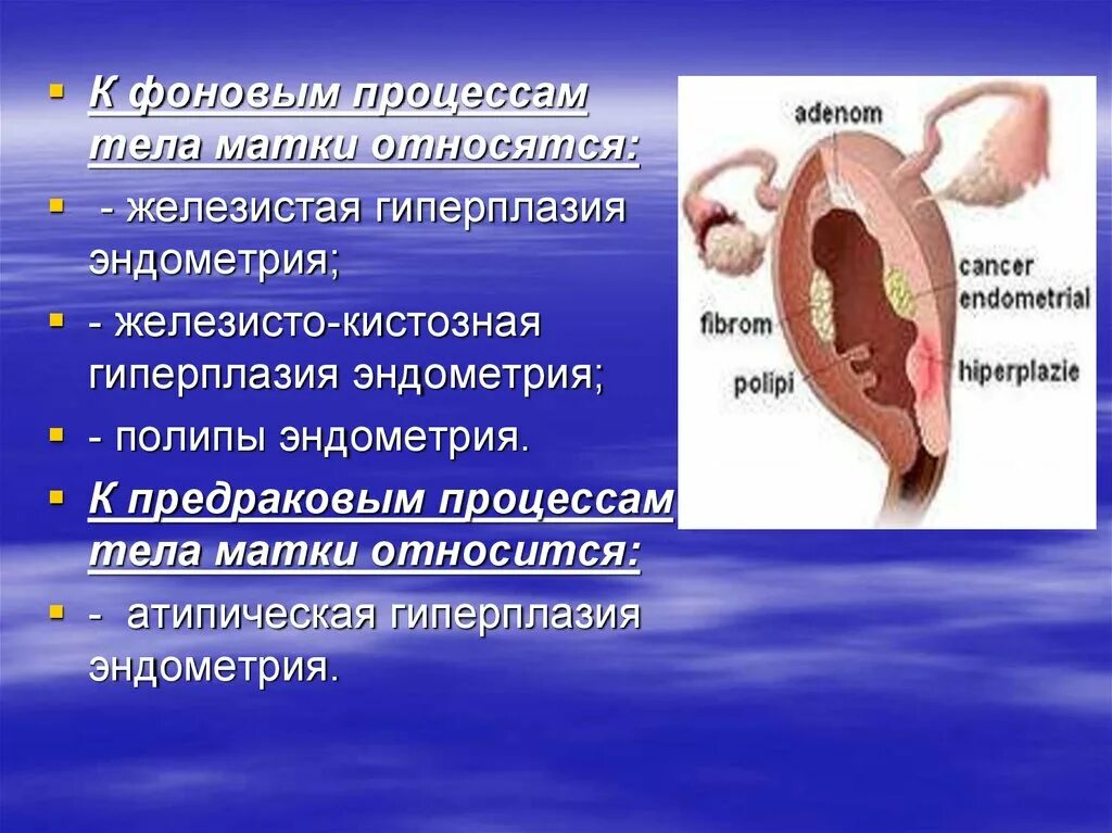 Предраковые эндометрия. Фоновые и предраковые заболевания тела матки. Фоновые и предраковые процессы эндометрия. Предраковые процессы в теле матки. Железисто-кистозная гиперплазия эндометрия.