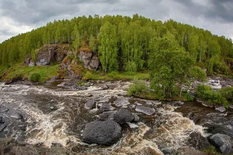 Ревун