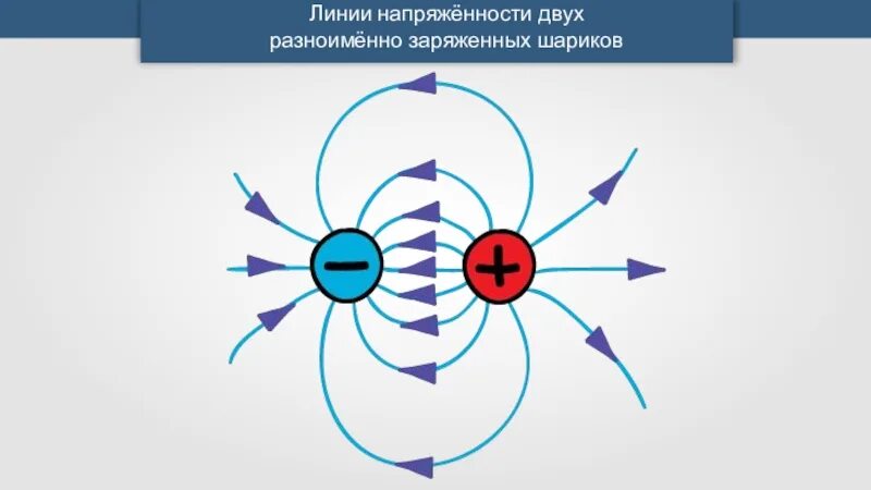 Линия напряженности 2 разноименных заряженных шариков. Линии напряженности заряженного шара. Заряженный шар силовые линии. Силовые линии заряженного шара.