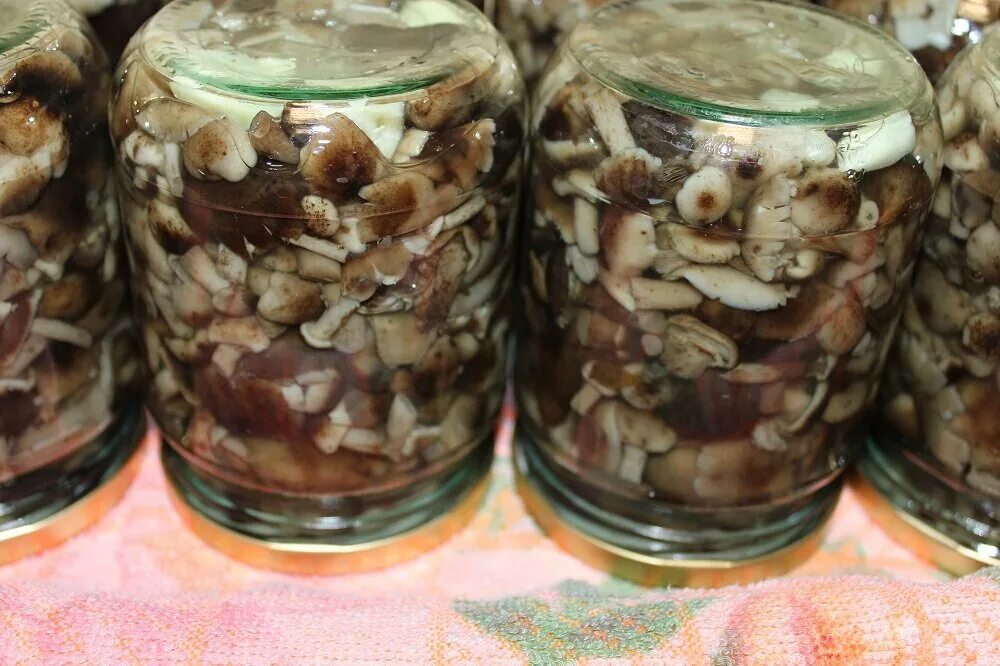 Вкусно замариновать опята на зиму в банках. Опята в банке. опята маринованные в банке. опята в собственном соку. опята в банке домашние.