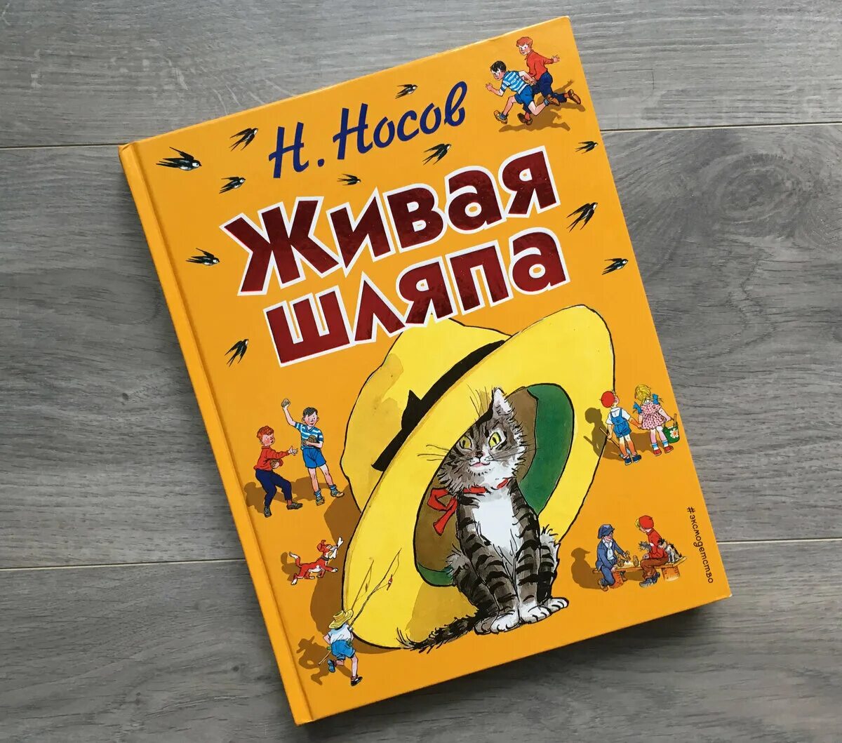 Содержание книги носова. Сборник рассказов Носова. Книга Носова сборник рассказов. Сборник детских рассказов Носова. Рассказы Носова для детей сборник сборник.