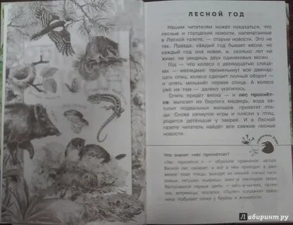 Бианки лесная текст