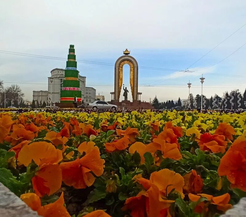 Прогноз погоды на сегодня в душанбе. Душанбе сейчас. Душанбе климат.