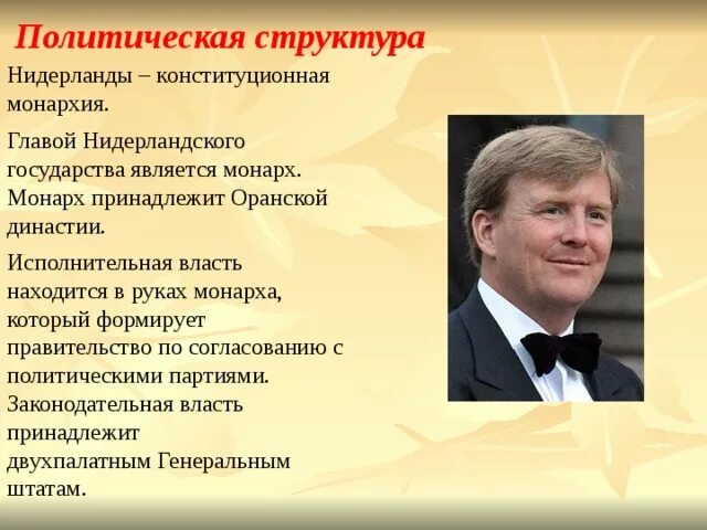 Глава государства нидерландов. Нидерланды политический режим. Нидерланды форма правления. Политическое устройство Нидерландов. Нидерланды форма государства.