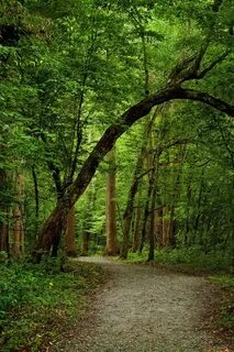Section path