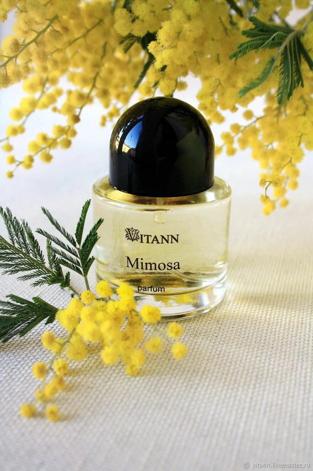 Духи Aerin Mimosa. Духи с ароматом мимозы. Туалетная вода с ароматом мимозы.