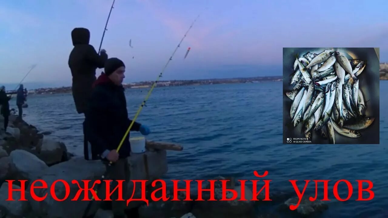 Как ловить на черном море. Ловля ставриды в черном море с берега. рыбалка ставрида черное море. ловля ставриды в черном море. ловля,тавриды на поплаво.