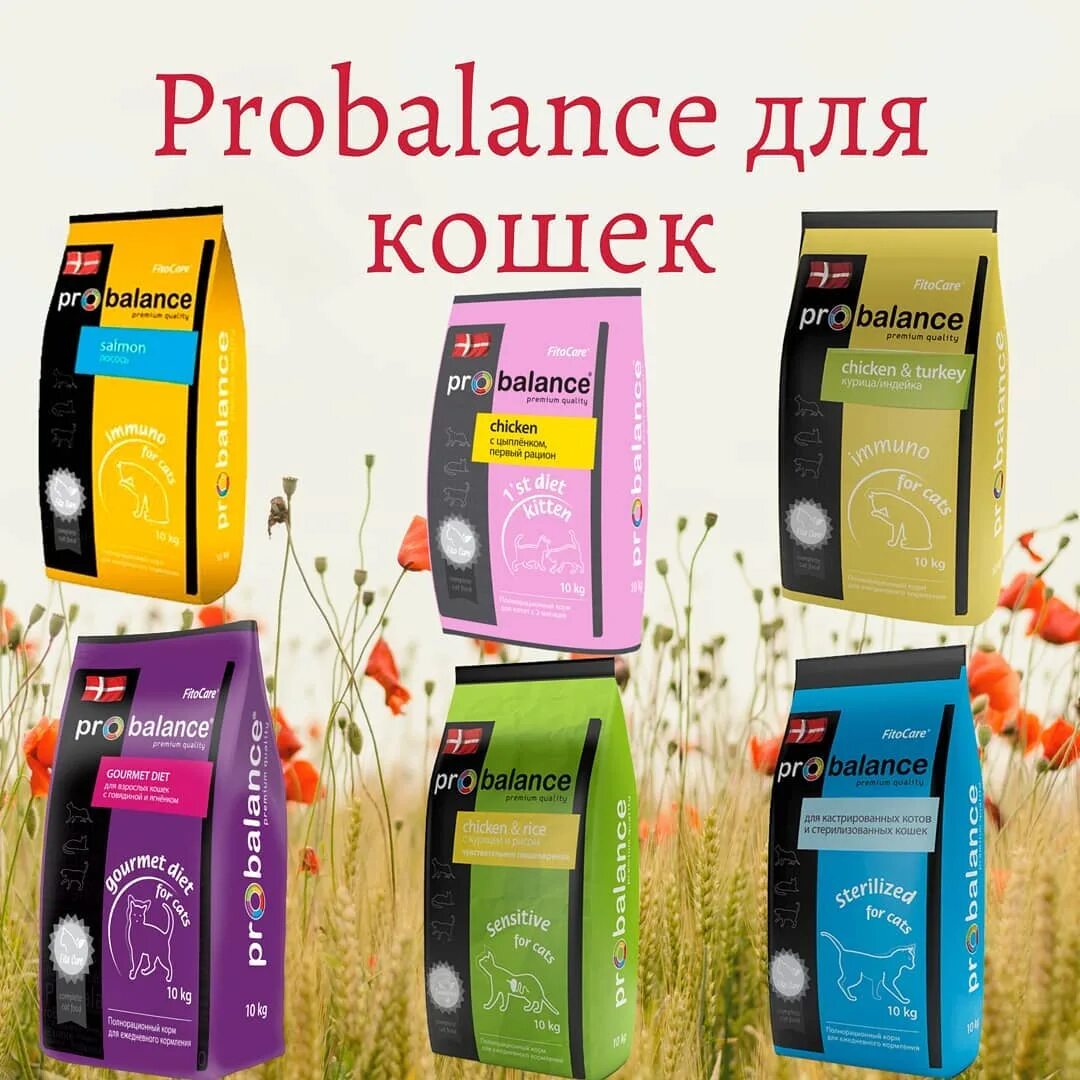 Probalance для кошек состав сухого корма. состав корма пробаланс для собак гипоаллергенный. корм для кошек probalance дозировка. пробаланс отзовик. пробаланс для собак пробаланс гипоаллергенный.
