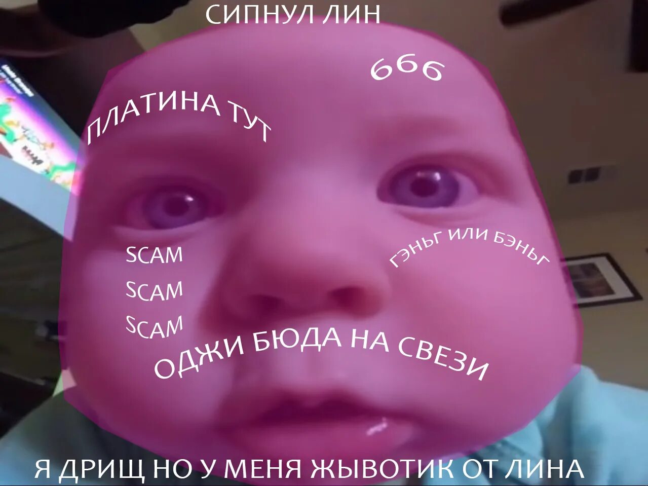 Что значит сипнуть. Сипнуть лин. ростик с лином. лин из чего.