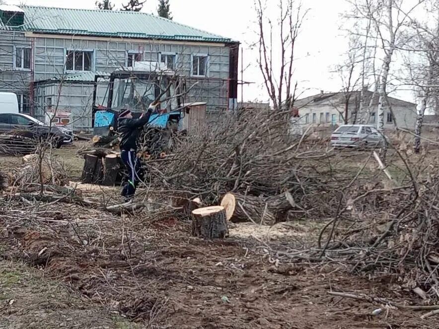 Погода индустриальный кашарский район ростовская область. Пос Дибровый Кашарский район. Посёлок Дибровый Ростовская область. Пос.Дибровый Кашарского р-на Ростовской обл. Школа поселок Дибровый Ростовской области.