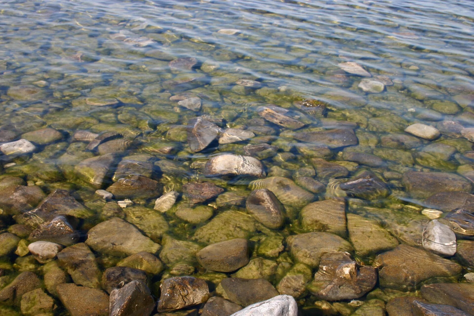 Подводные камни. Подводный камень. Большой камень подводный. Без подводных камней. Долями подводные камни