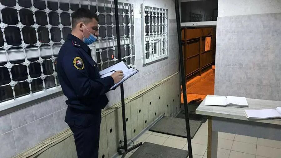 Росгвардия поймала наркомана. Помилование осужденных. Амнистия заключенных. Амнистия 2022. Амнистия заключенных.
