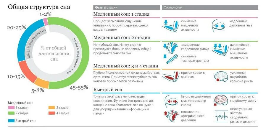Фаза быстрого сна сколько. Структура сна фазы медленного и быстрого сна. фазы быстрого и медленного сна таблица. структура сна фазы стадии. быстрая фаза сна длительность.