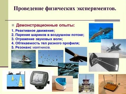Какое использование человеком