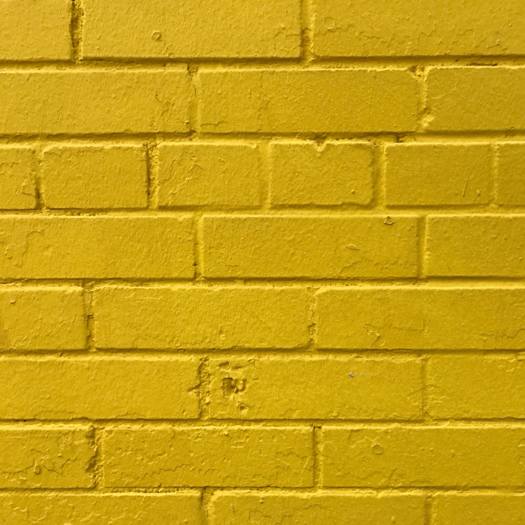 Купить желтый кирпич. Желтый кирпич. Стена из желтого кирпича. Кирпич декоративный желтый. Цвет желтого кирпича.