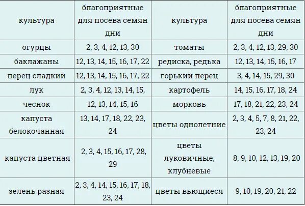 Посев огурца на рассаду в апреле