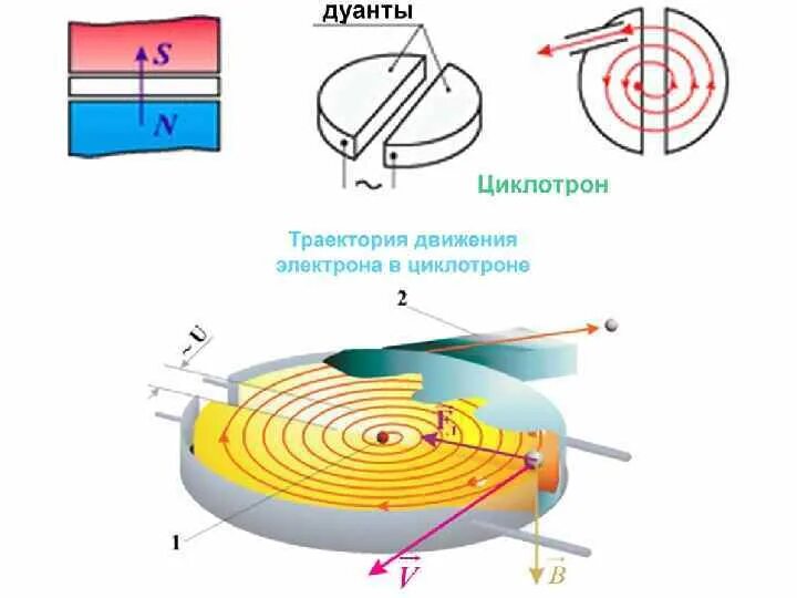 Электро магнитные полы. Магнитный циклотрон. Дуанты циклотрона. Циклотрон схема. Циклотрон физика.