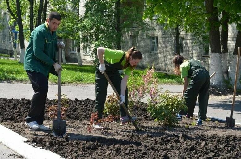 Работа рабочий по благоустройству. Общественные работы озеленение. озеленение территории людьми. работы по благоустройству и озеленению территории. услуги по благоустройству территории.