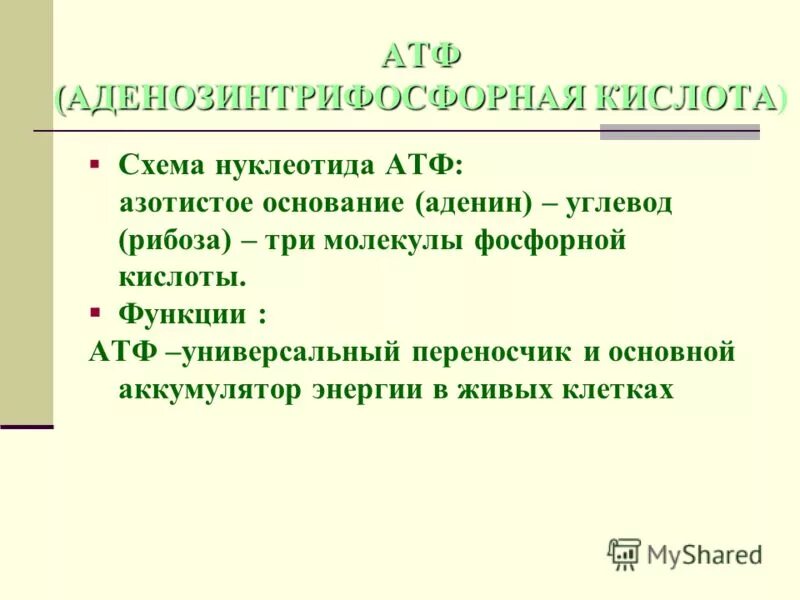 Азотистое основание атф. Основные функции АТФ. Функции АТФ биология. Роль АТФ В организме.