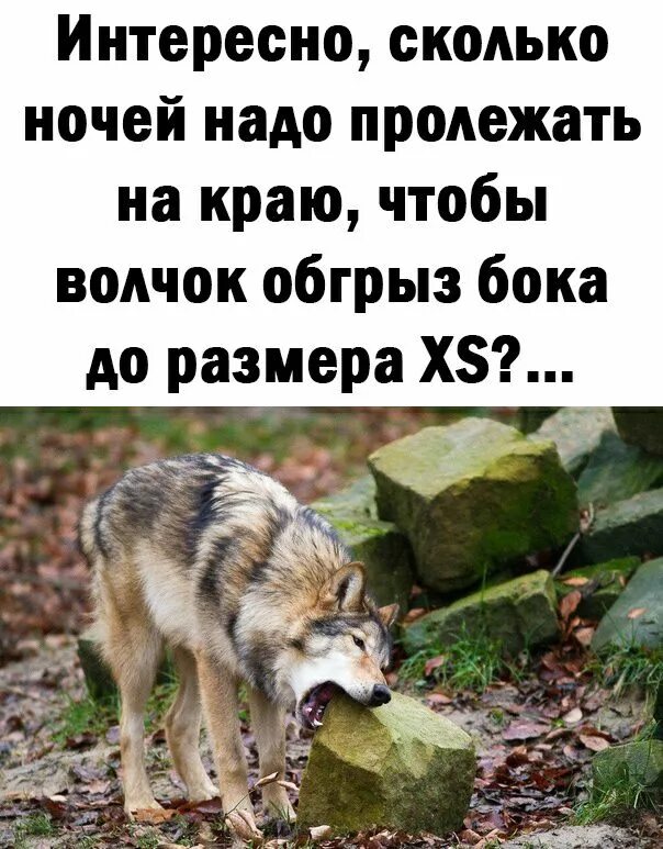 Надо на ночь сколько. Предложение про волчок. Сколько нужно лежать на боку чтобы волчок.