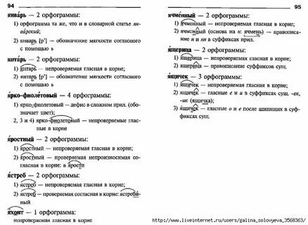 Орфографический разбор слова 5 класс